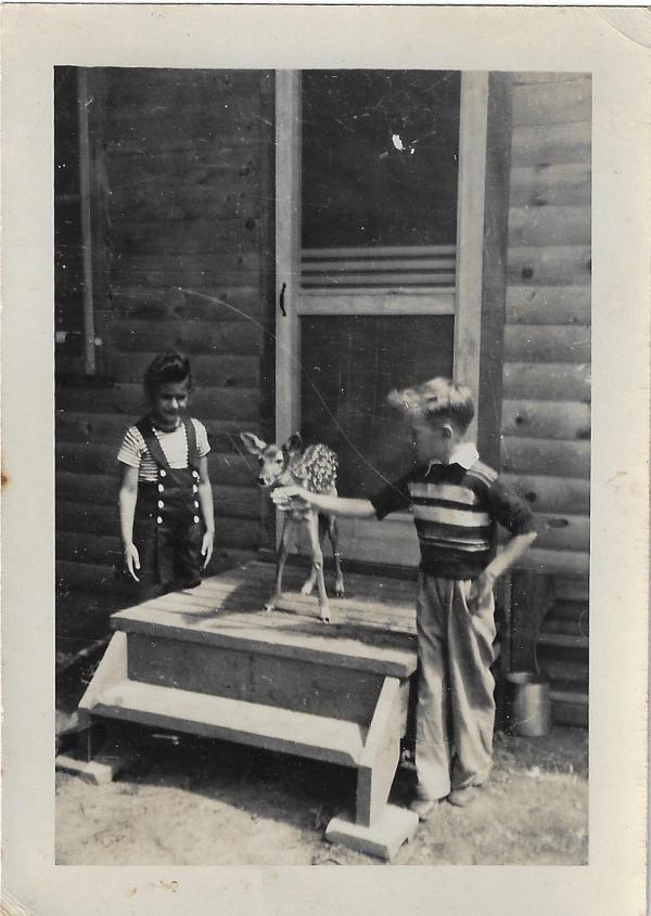 historic photo of 2 boys feeding a fawn in front of a cabin
