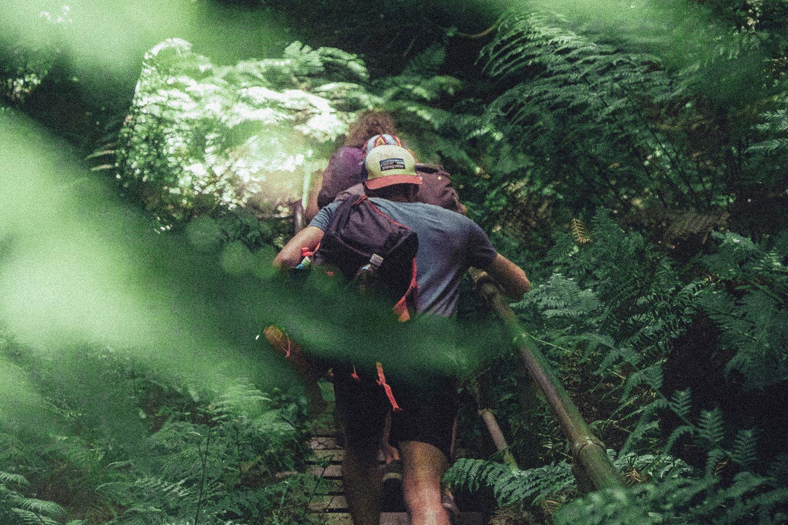 People climbing stairs while hiking